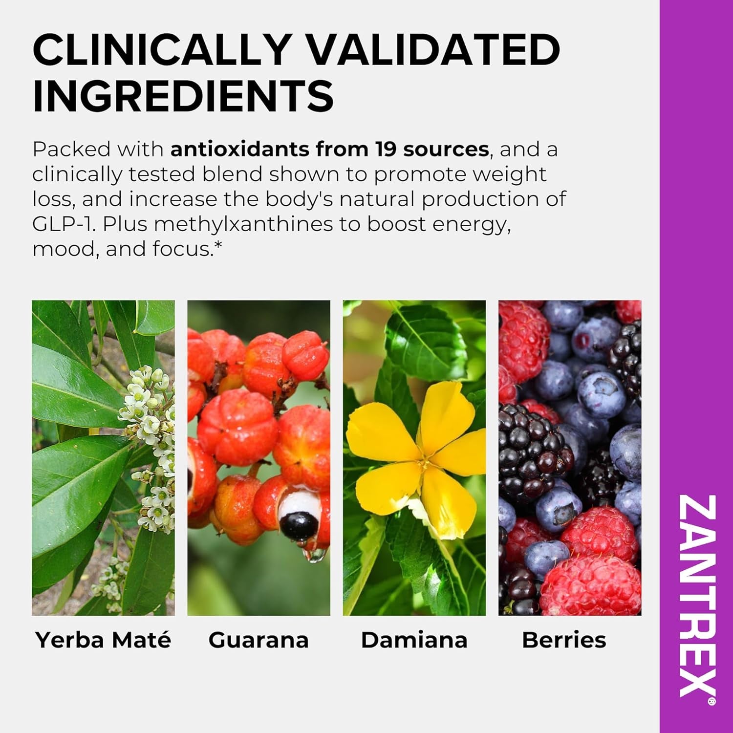 Skinnystix Berry Fusion GLP-1 Support Powder Energy Drink, Metabolic Support, Appetite Control, Natural Energy Boost | 15 Single-Serving Packets