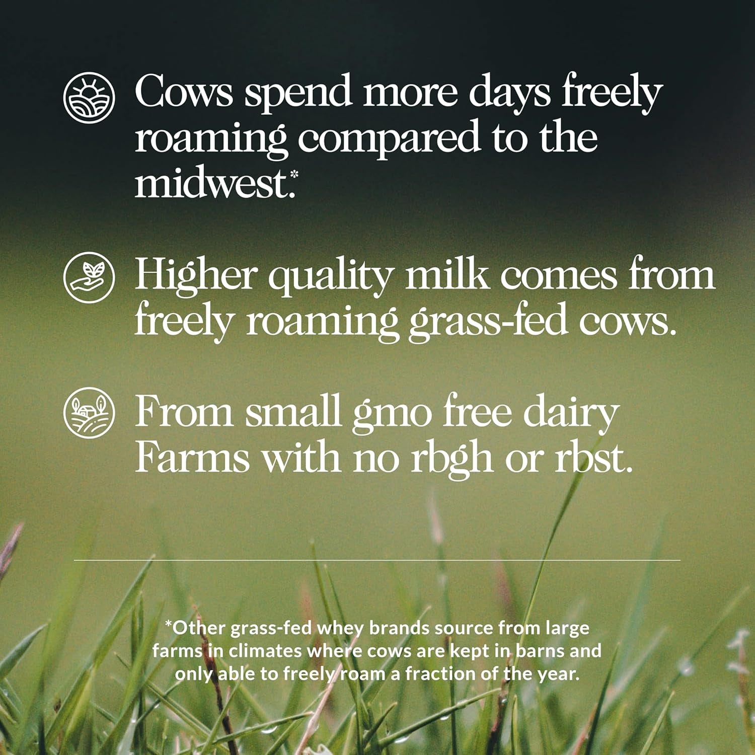 Whey 2LB 100% Grass Fed Whey Protein Powder - Only 1 Ingredient, Unflavored Whey Protein, Undenatured, Gluten Free, Soy Free, No Gmos, No Preservatives