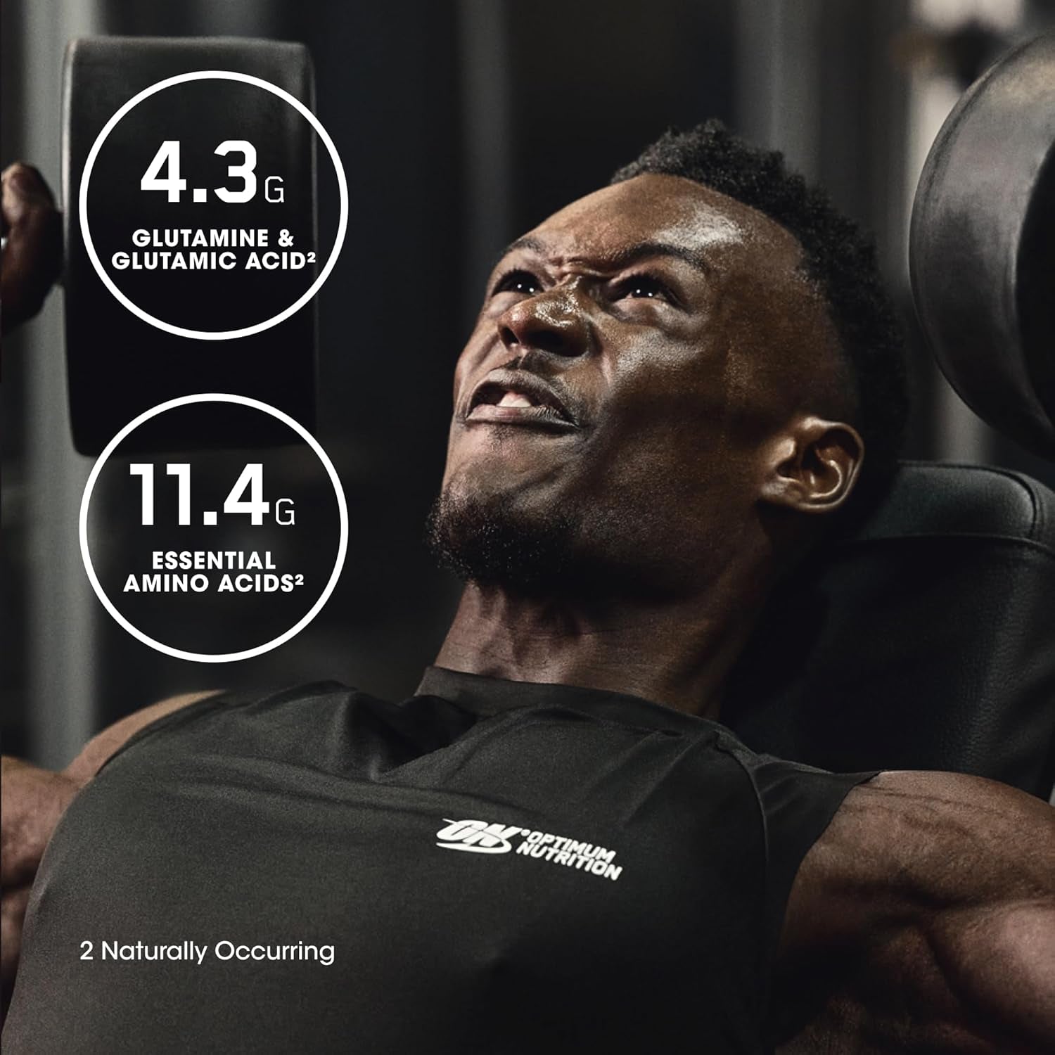 Gold Standard 100% Isolate, Protein Powder, Chocolate Bliss, 3 Pounds, 44 Servings. Whey Protein Isolate (Packaging May Vary)