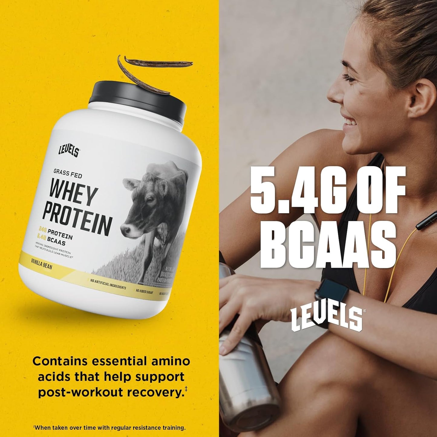 Levels Grass Fed Whey Protein Powder, No Artificials, 24G of Protein, Vanilla Bean, 5LB